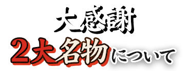 大感謝2大名物について